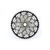 12-speed 10-52T cassette (SRAM XD freehub)