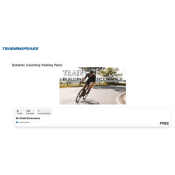 Dynamic cyclist